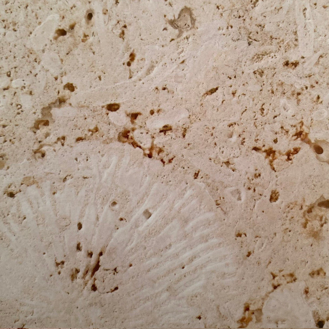 Coral Gem Tile Hawaii Stone Imports