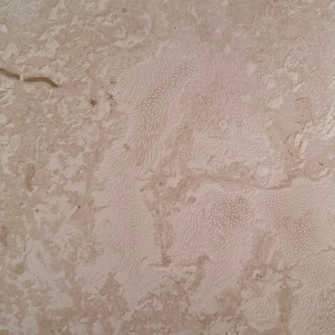 Coral Gem Tile Hawaii Stone Imports