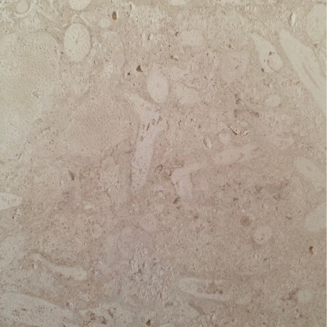 Coral Gem Pool Coping Hawaii Stone Imports