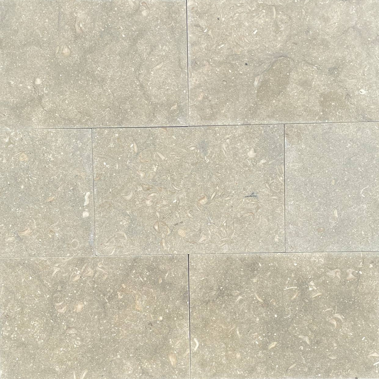 Seagrass Limestone Tile Hawaii Stone Imports