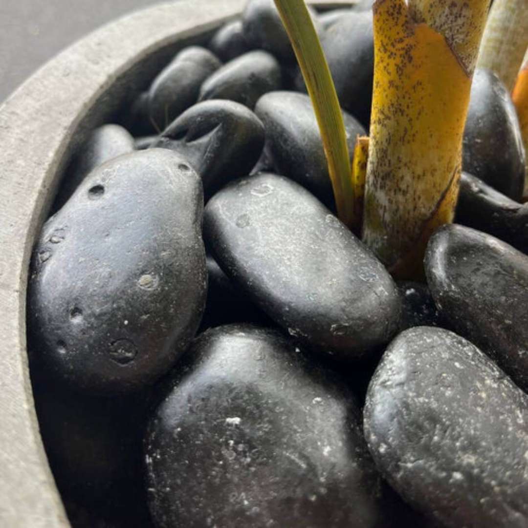 Black Sand Garden Pebble Hawaii Stone Imports