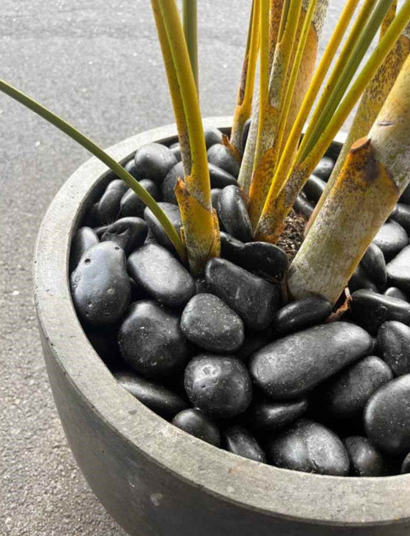 Black Sand Garden Pebble Hawaii Stone Imports