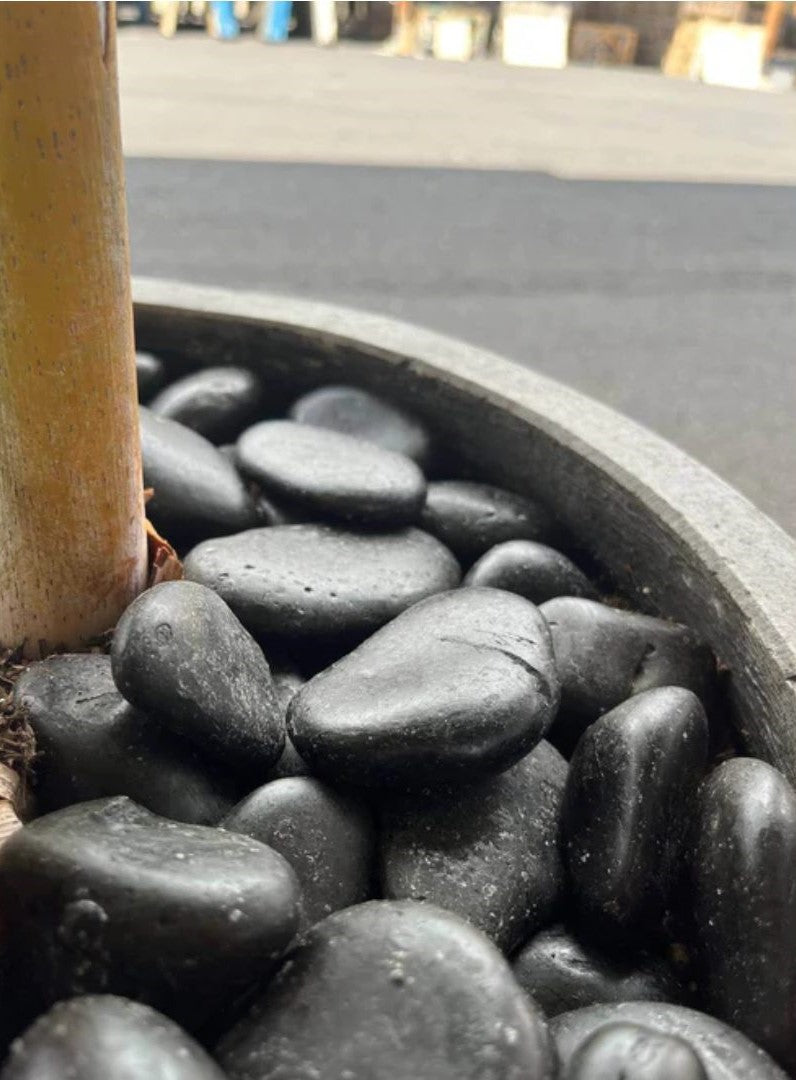 Black Sand Garden Pebble Hawaii Stone Imports
