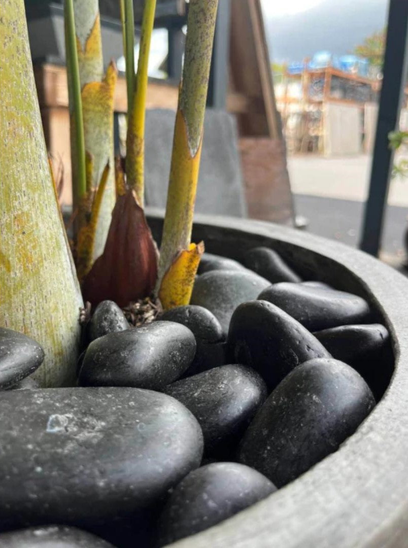 Black Sand Garden Pebble Hawaii Stone Imports