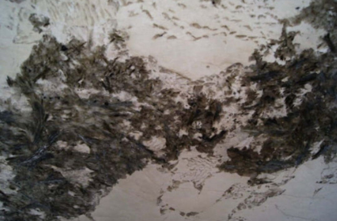 Black Crystal Granite Slab Hawaii Stone Imports