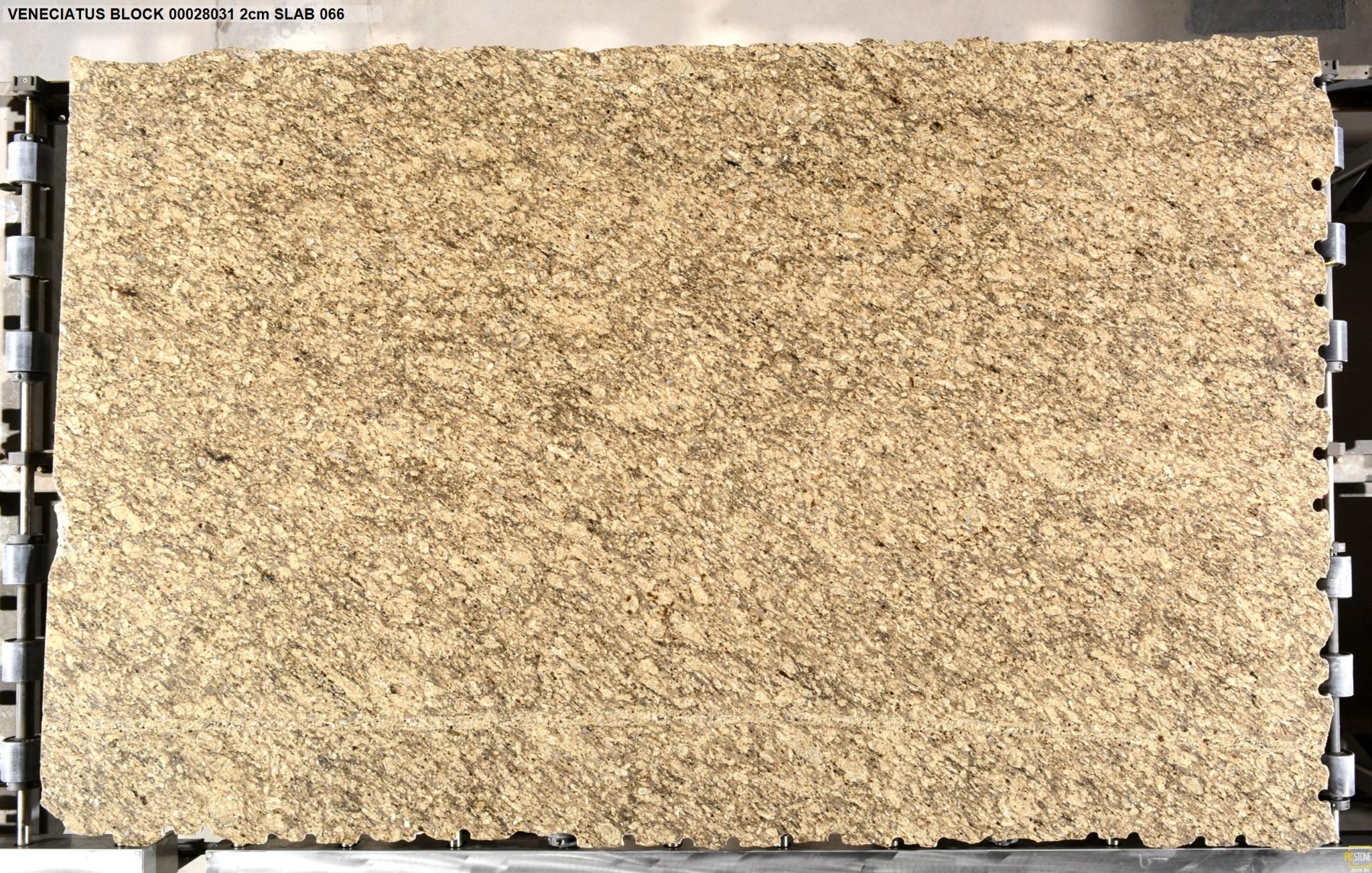 Veneciatus Granite Slab Hawaii Stone Imports