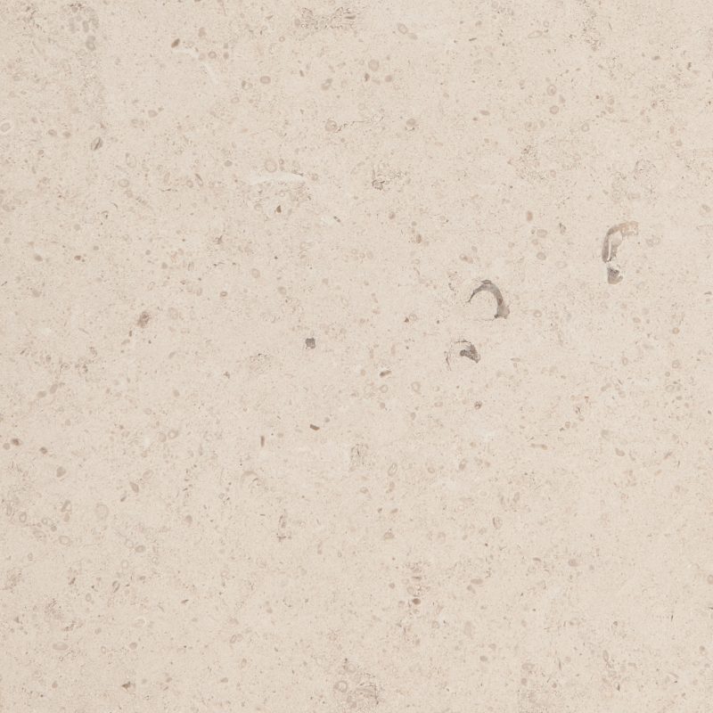 Branco valongo Limestone Tile Hawaii Stone Imports