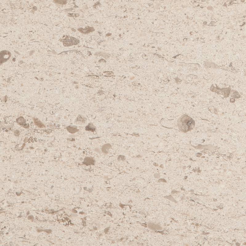 Moca Creme Limestone Tile Hawaii Stone Imports
