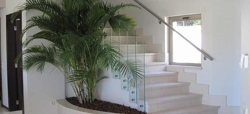 Moleanos Box Limestone Tile Hawaii Stone Imports