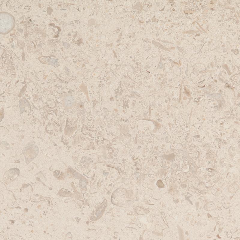 Silver Creme Limestone Tile Hawaii Stone Imports