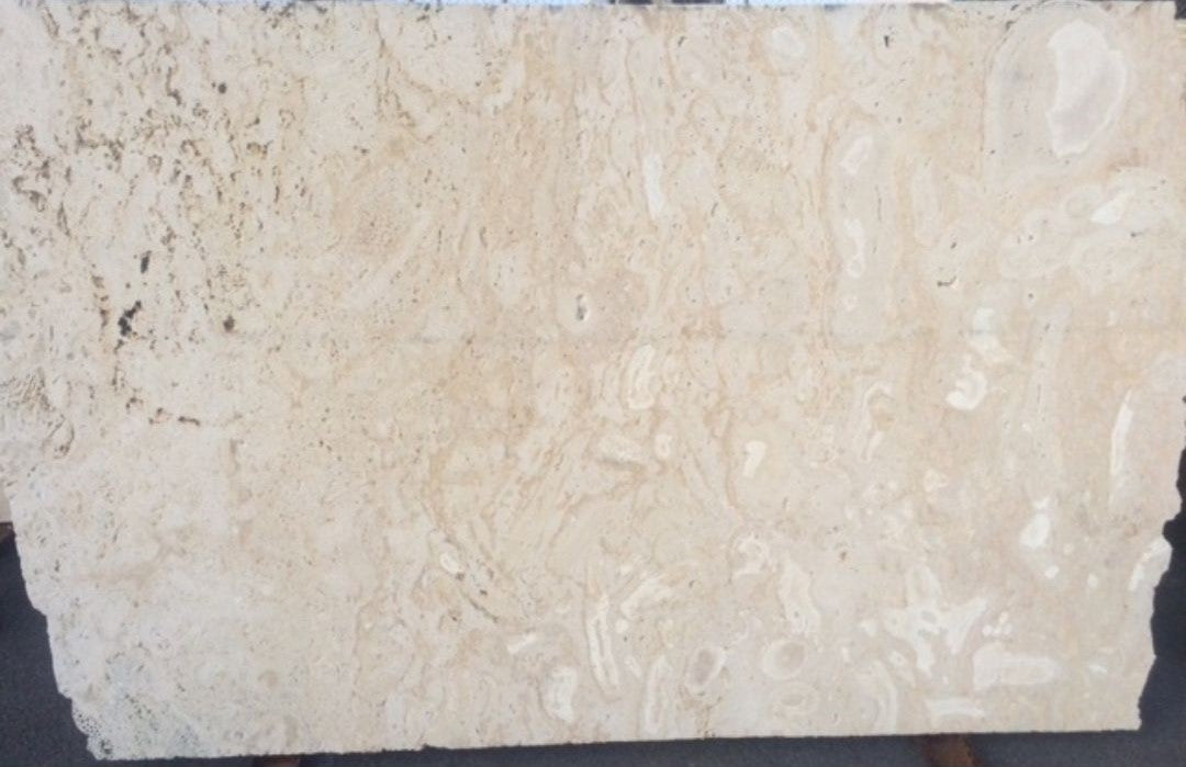 CORAL GEM Coral Saw Cut Slab