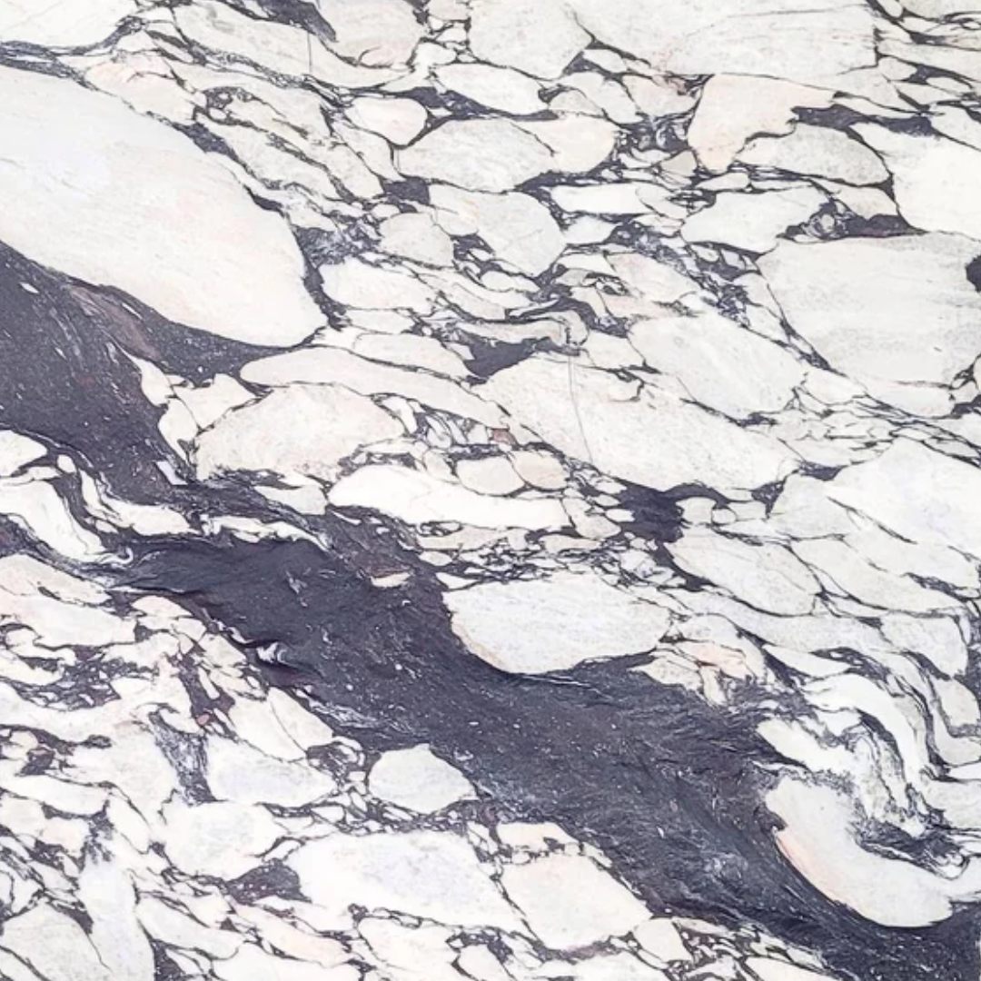 CALACATTA VIOLA Marble Polished Slab