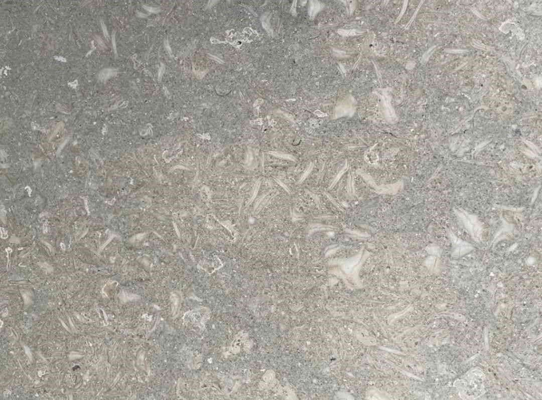 Seagrass Limestone Slab Hawaii Stone Imports