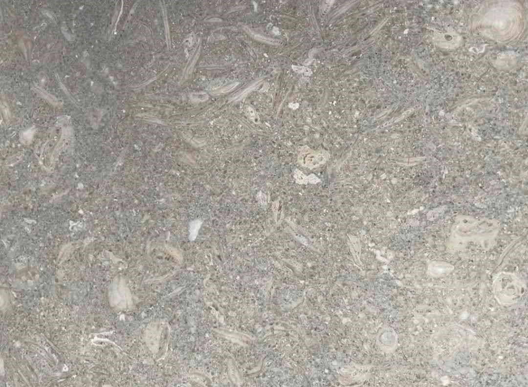 Seagrass Limestone Slab Hawaii Stone Imports