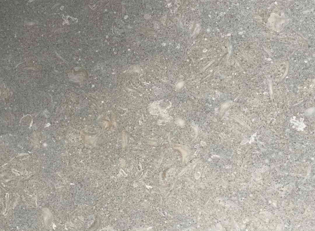 Seagrass Limestone Slab Hawaii Stone Imports