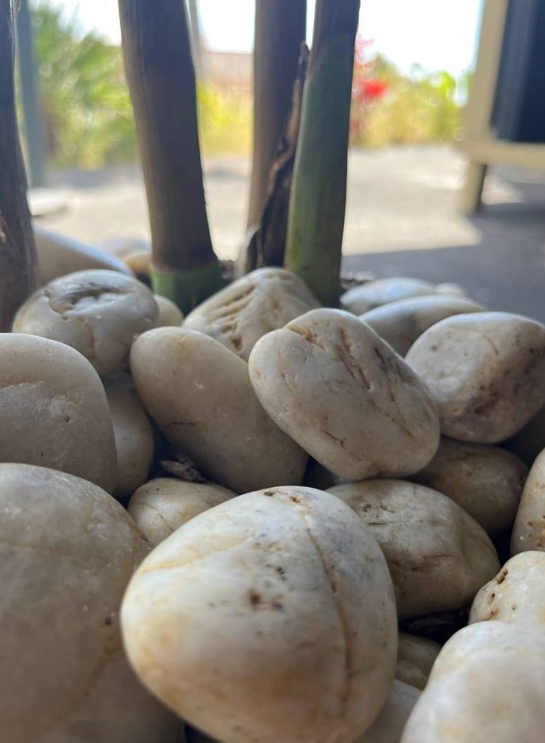 Sunset Garden Pebbles Hawaii Stone Imports