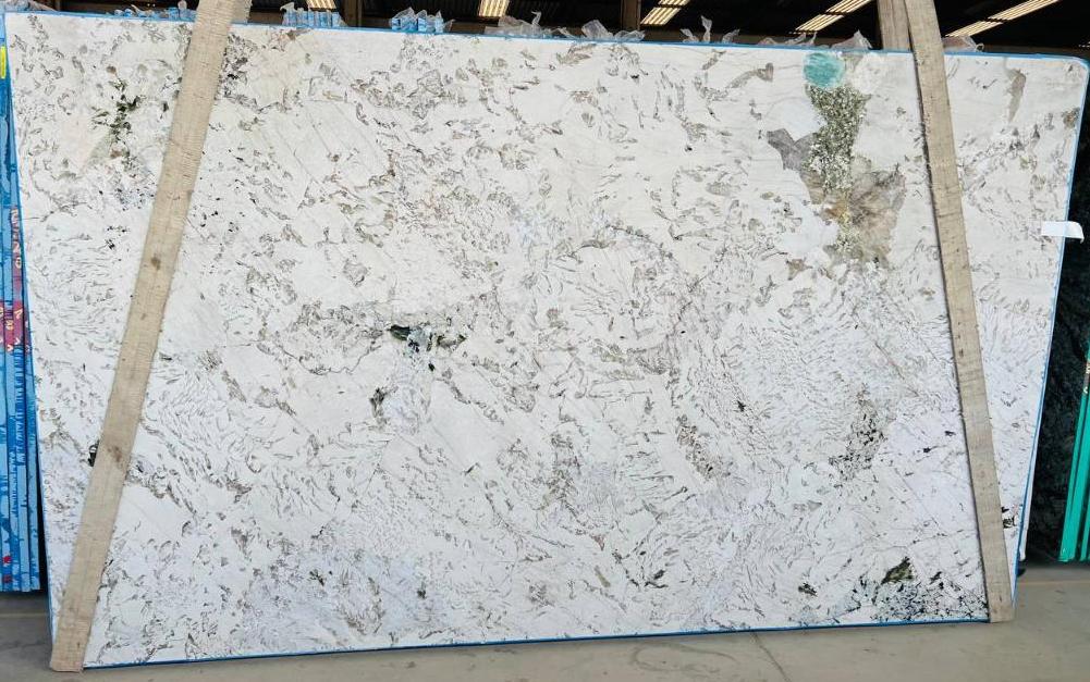 ALPINUS Granite Polished Slab