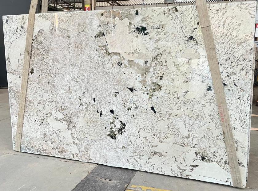 ALPINUS Granite Polished Slab