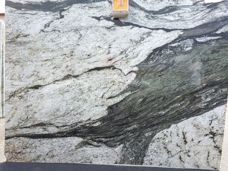 ORCA WHALE Granite Polished Slab