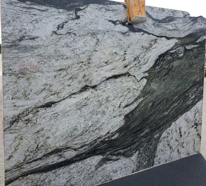 ORCA WHALE Granite Polished Slab