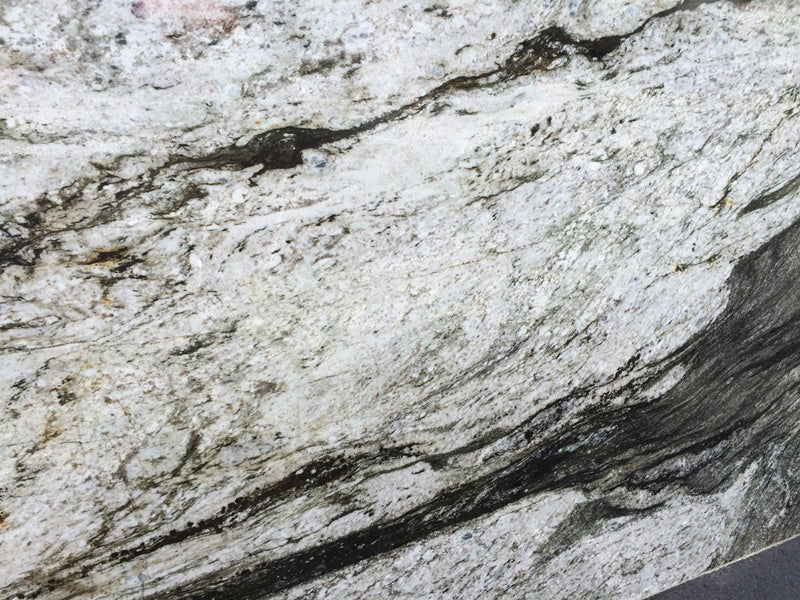 ORCA WHALE Granite Polished Slab