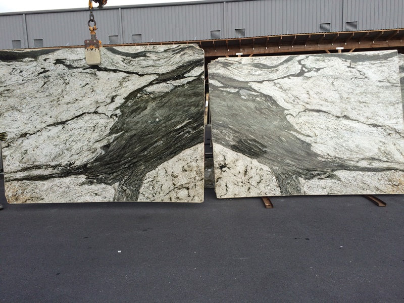 ORCA WHALE Granite Polished Slab