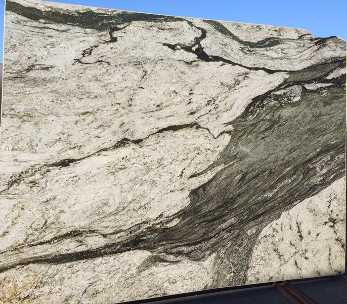 ORCA WHALE Granite Polished Slab