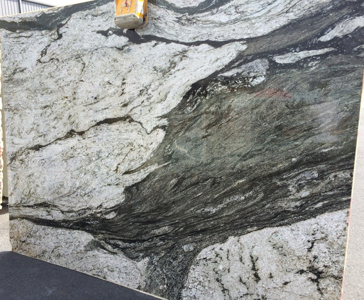 ORCA WHALE Granite Polished Slab