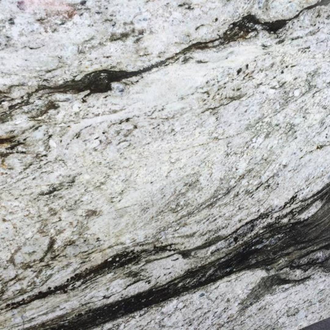 ORCA WHALE Granite Polished Slab