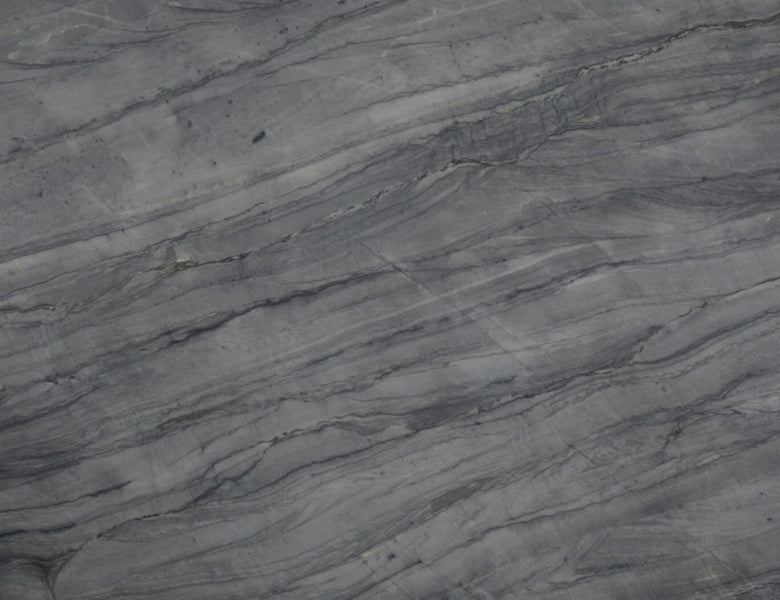 PLATINUS SILVER Quartzite Polished Slab