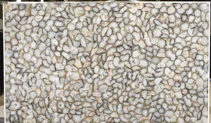 BONE PREMIUM Semi Precious Agate Gemstone Polished Slab
