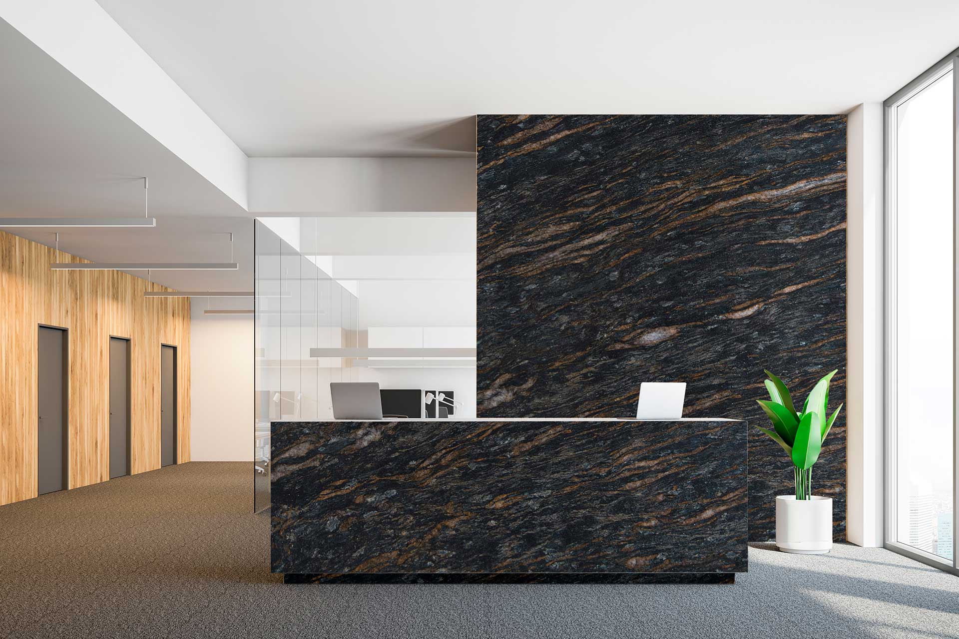 METALICUS Granite Polished Slab