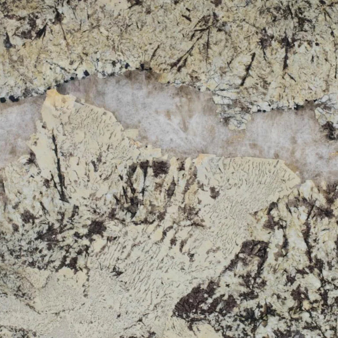 NEW PATAGONIA Granite Polished Slab