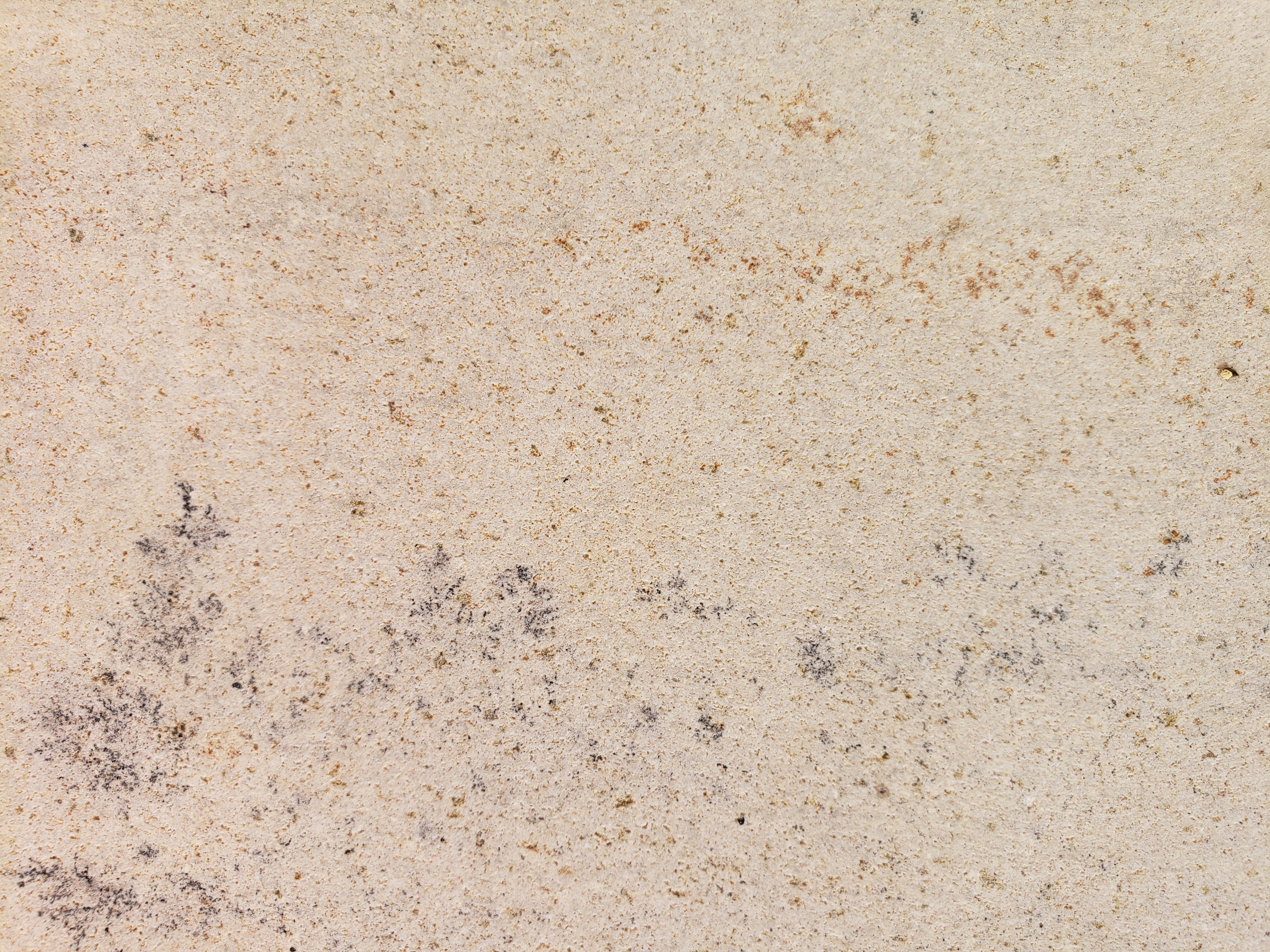 BEGAWAN Sandstone Honed Wall Veneer