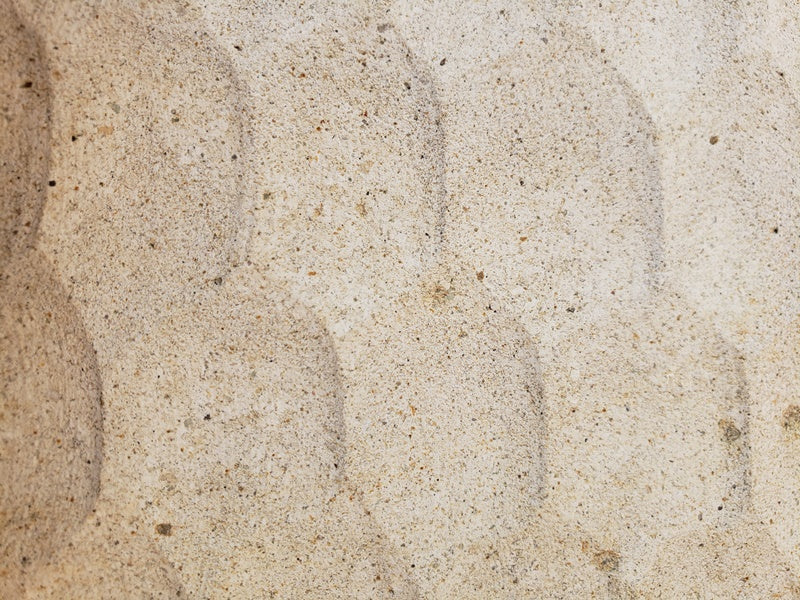 BEGAWAN Sandstone Crocodile Wall Veneer