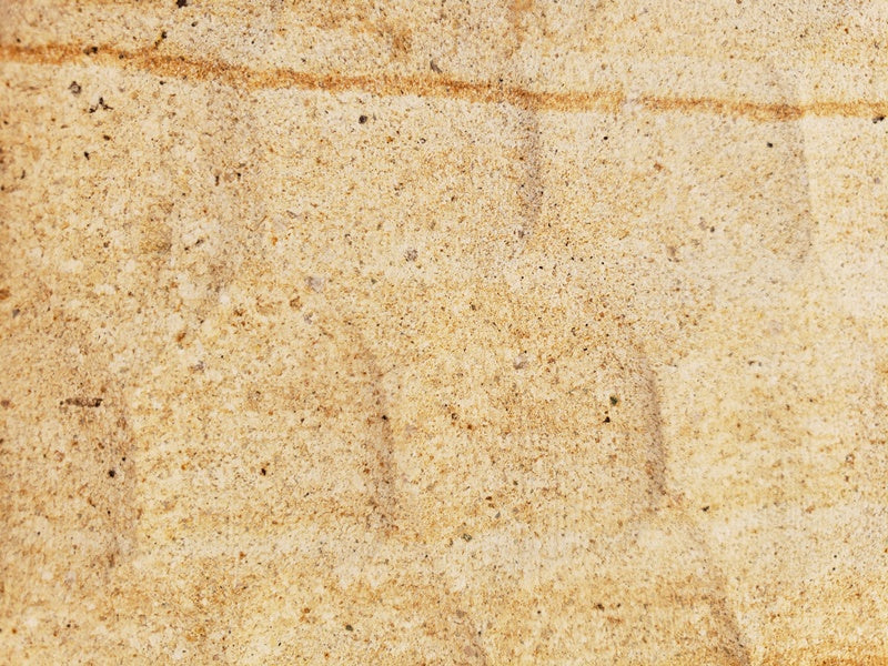 BEGAWAN Sandstone Crocodile Wall Veneer