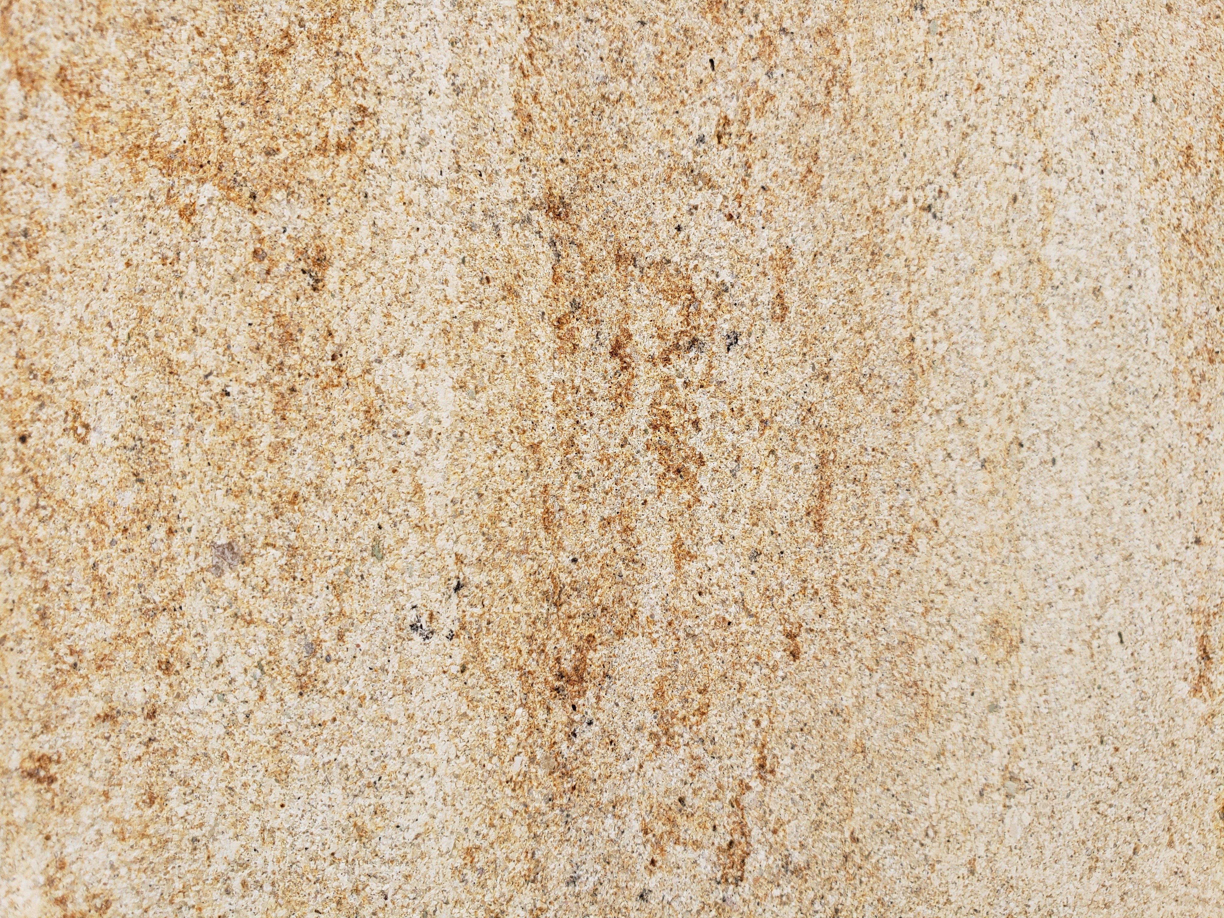 BEGAWAN Sandstone Honed Wall Veneer