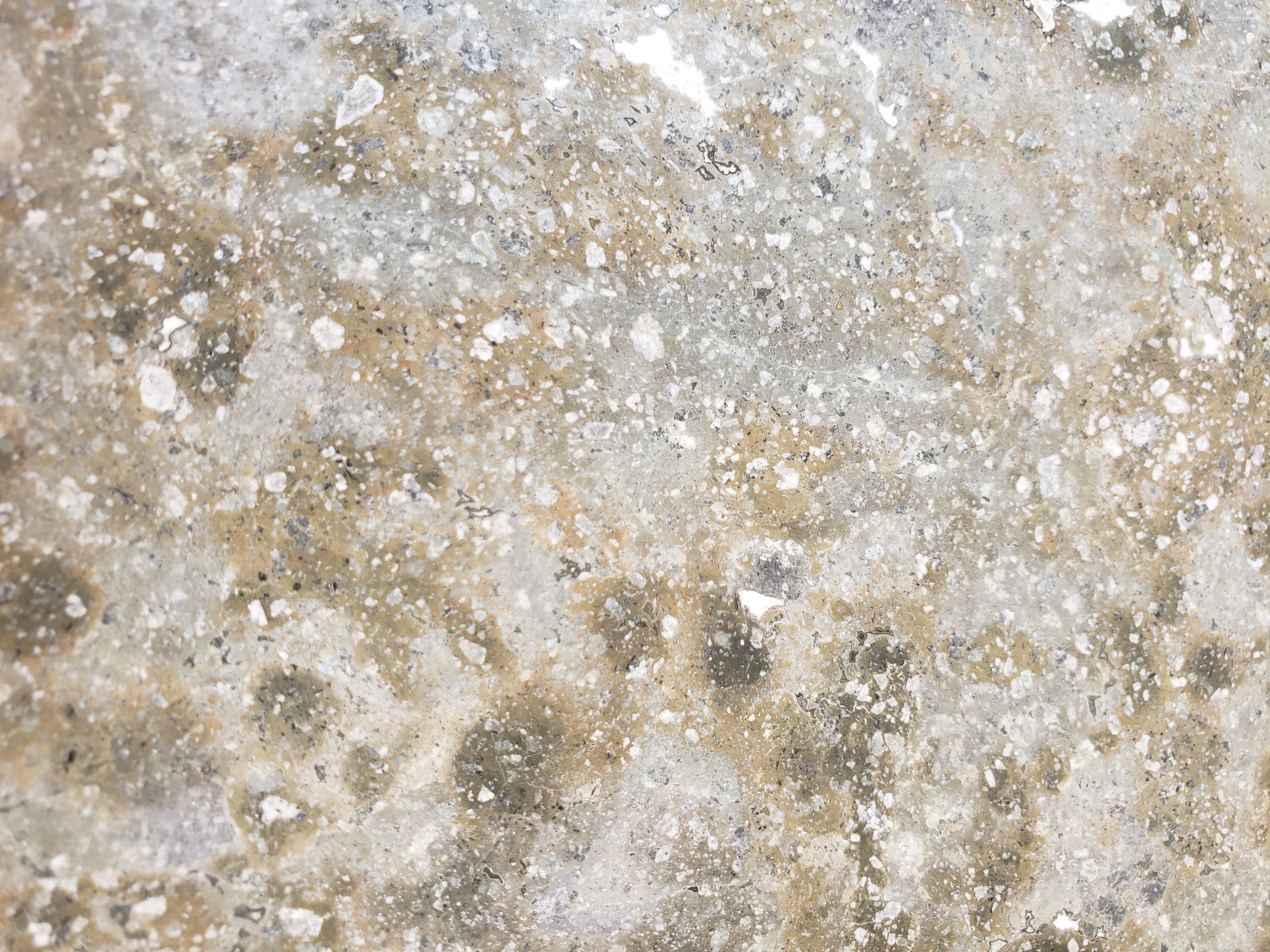 EVERGREEN Basalt Bush Hammered Wall Veneer