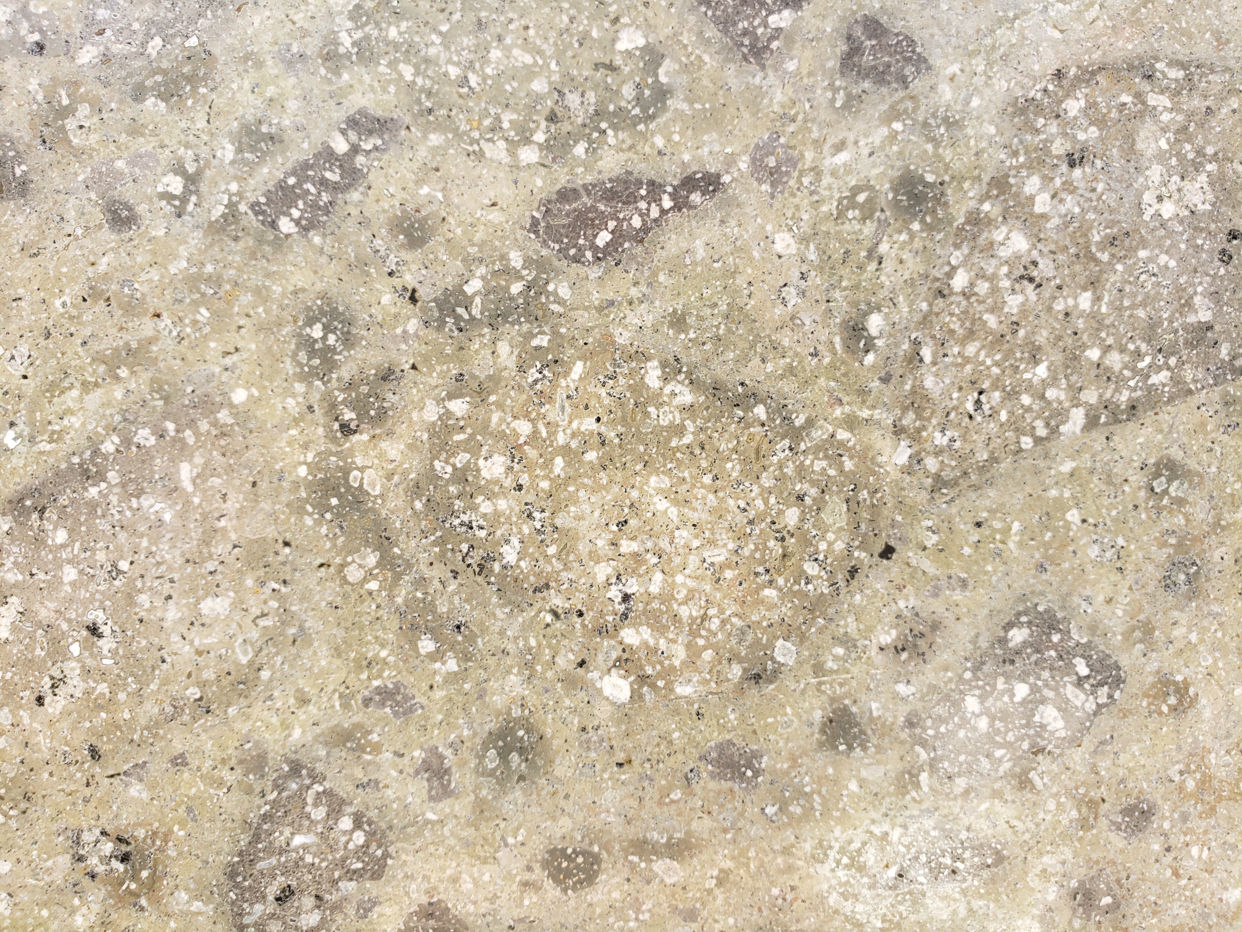 EVERGREEN Basalt Honed Wall Veneer