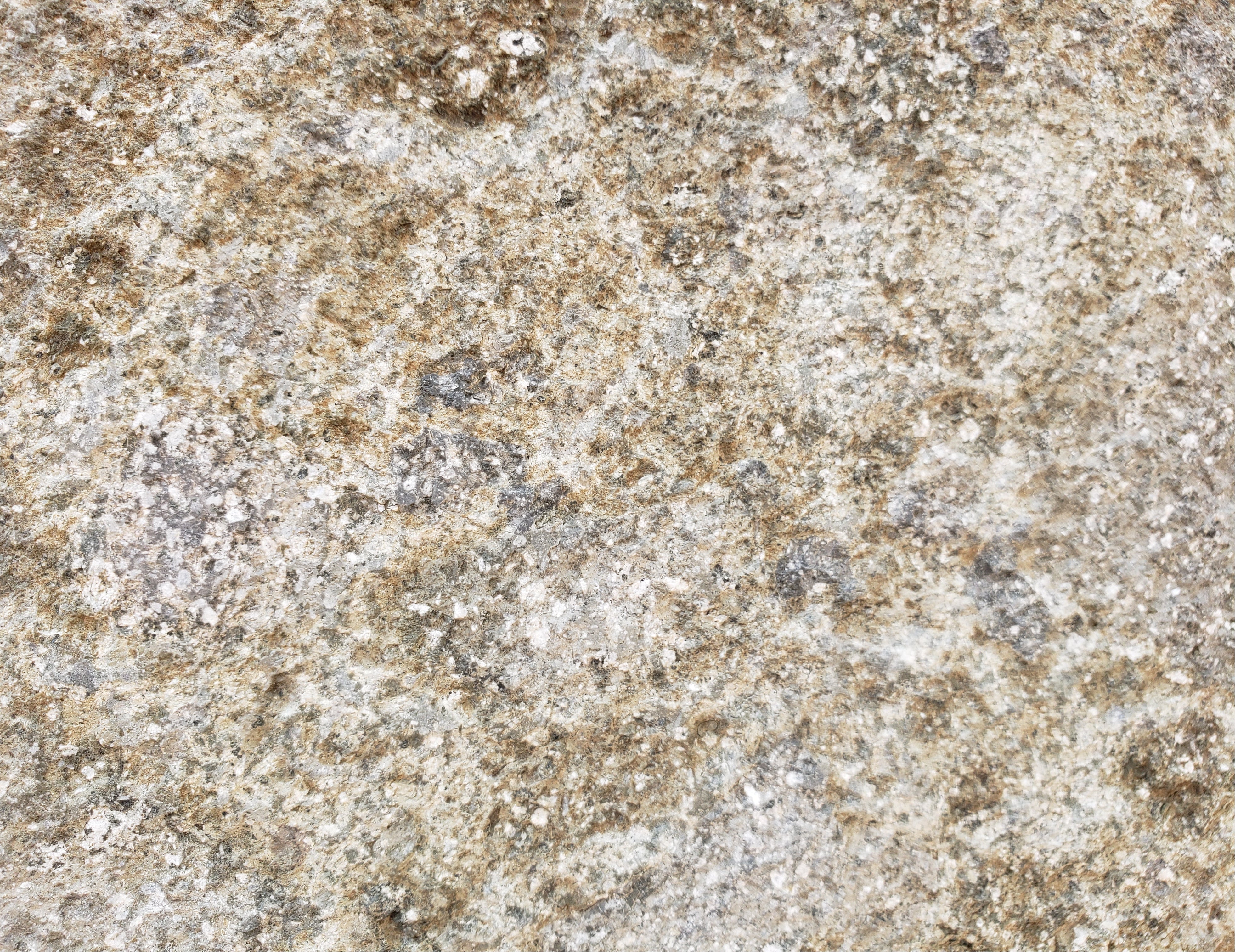 EVERGREEN Basalt Bush Hammered Wall Veneer