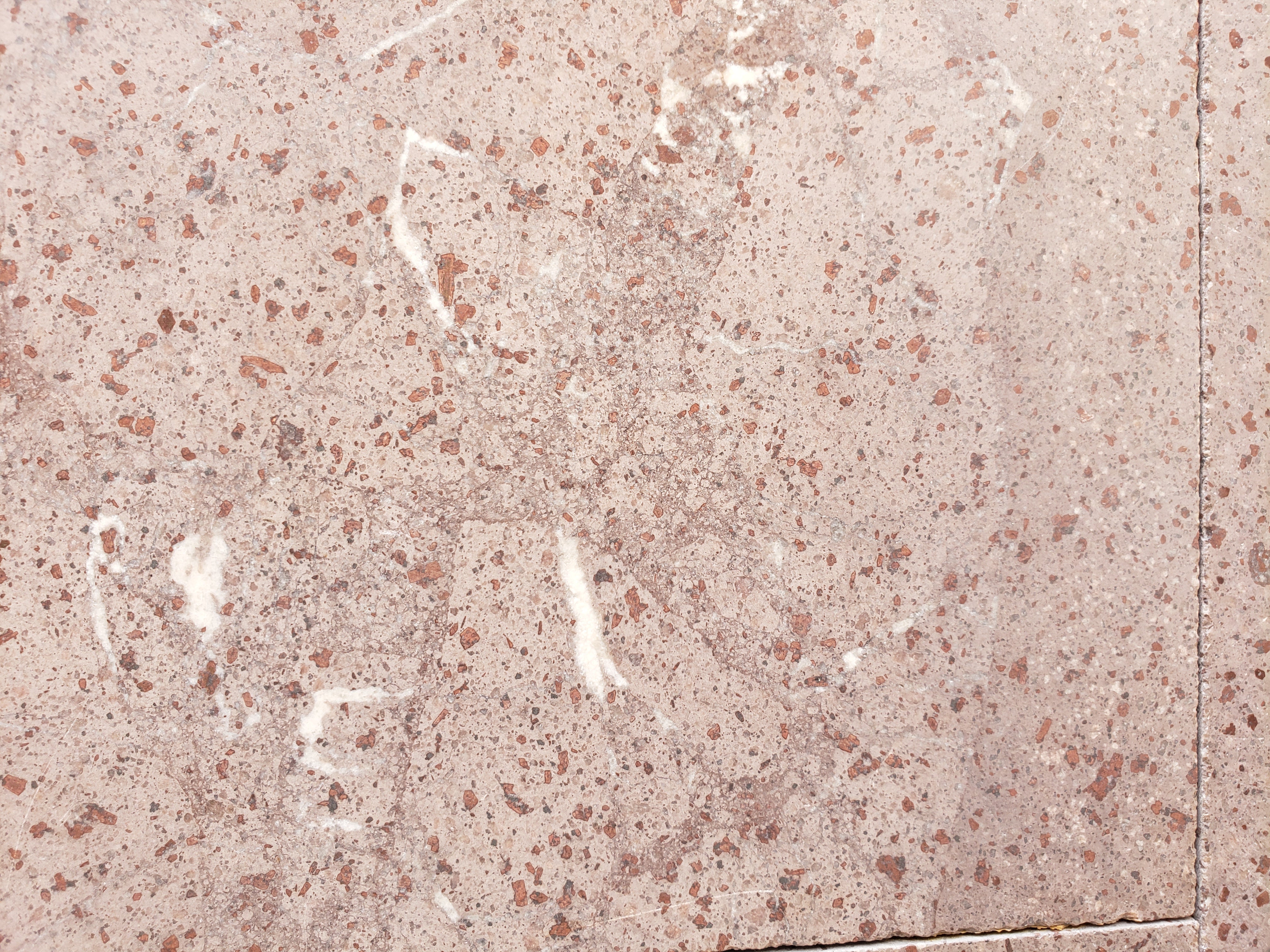 TROPICAL RED Basalt Honed Wall Veneer