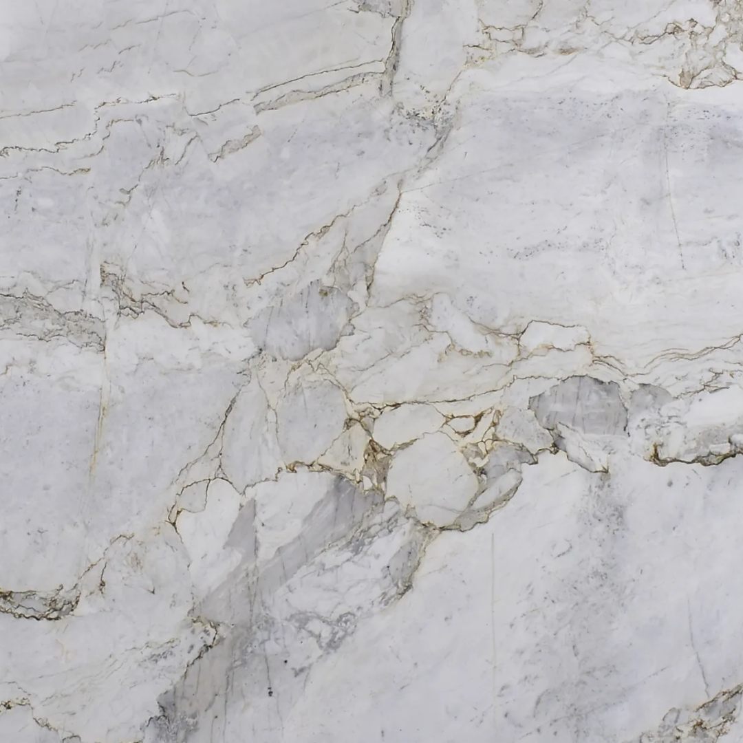 CALACATTA MICHELANGELO Marble Polished Slab