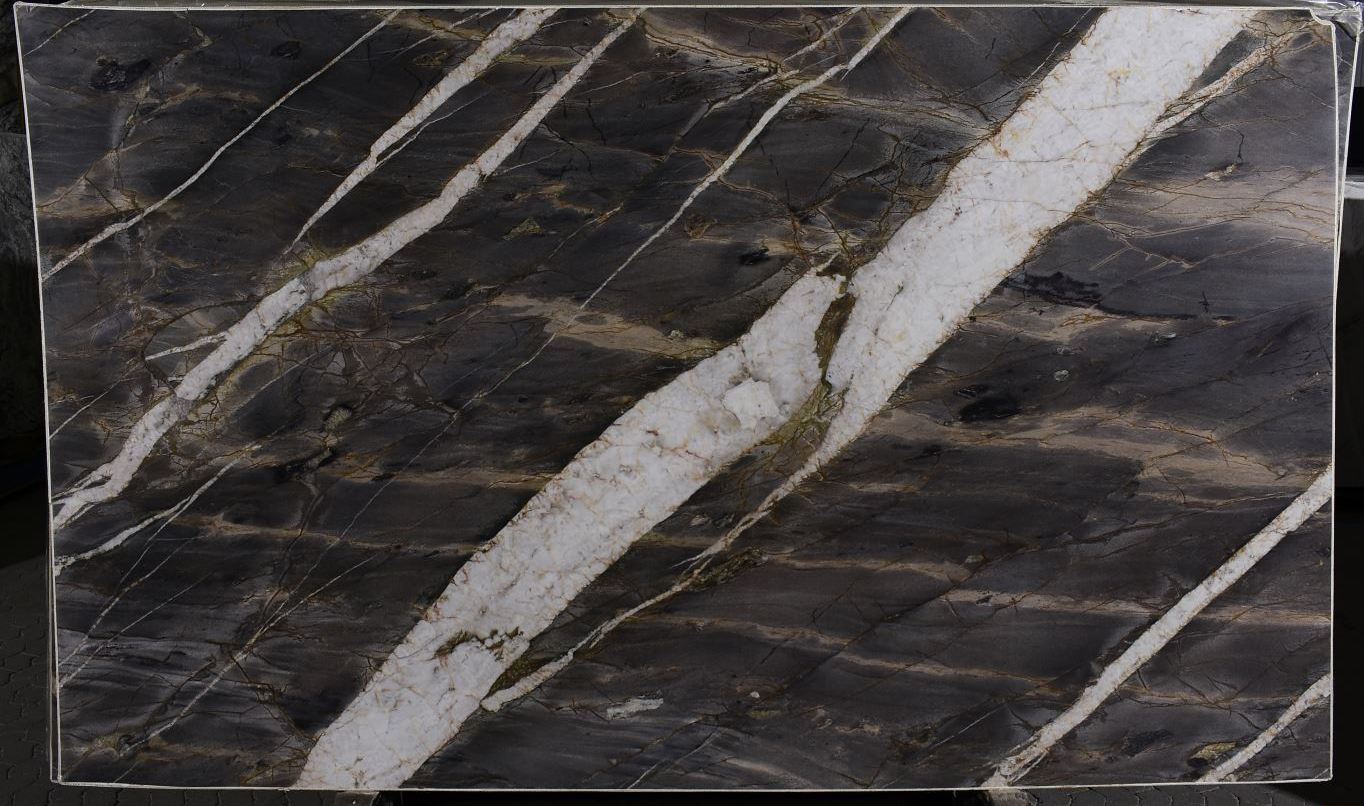 PARAMOUNT Quartzite Polished Slab