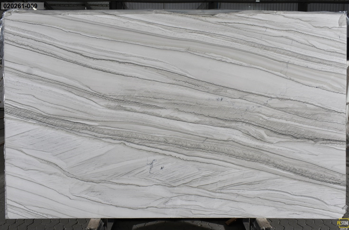 PELICAN Quartzite Polished Slab