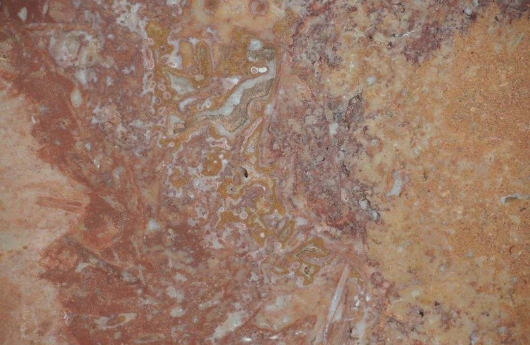 Canyon Travertine Tile Hawaii Stone Imports