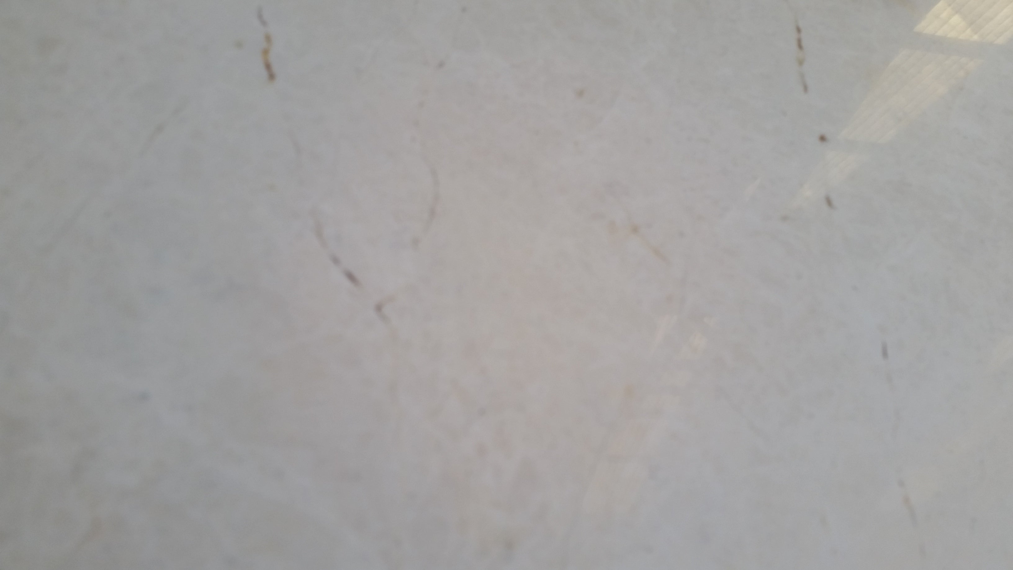 CASCADE WHITE Marble Polished Tile
