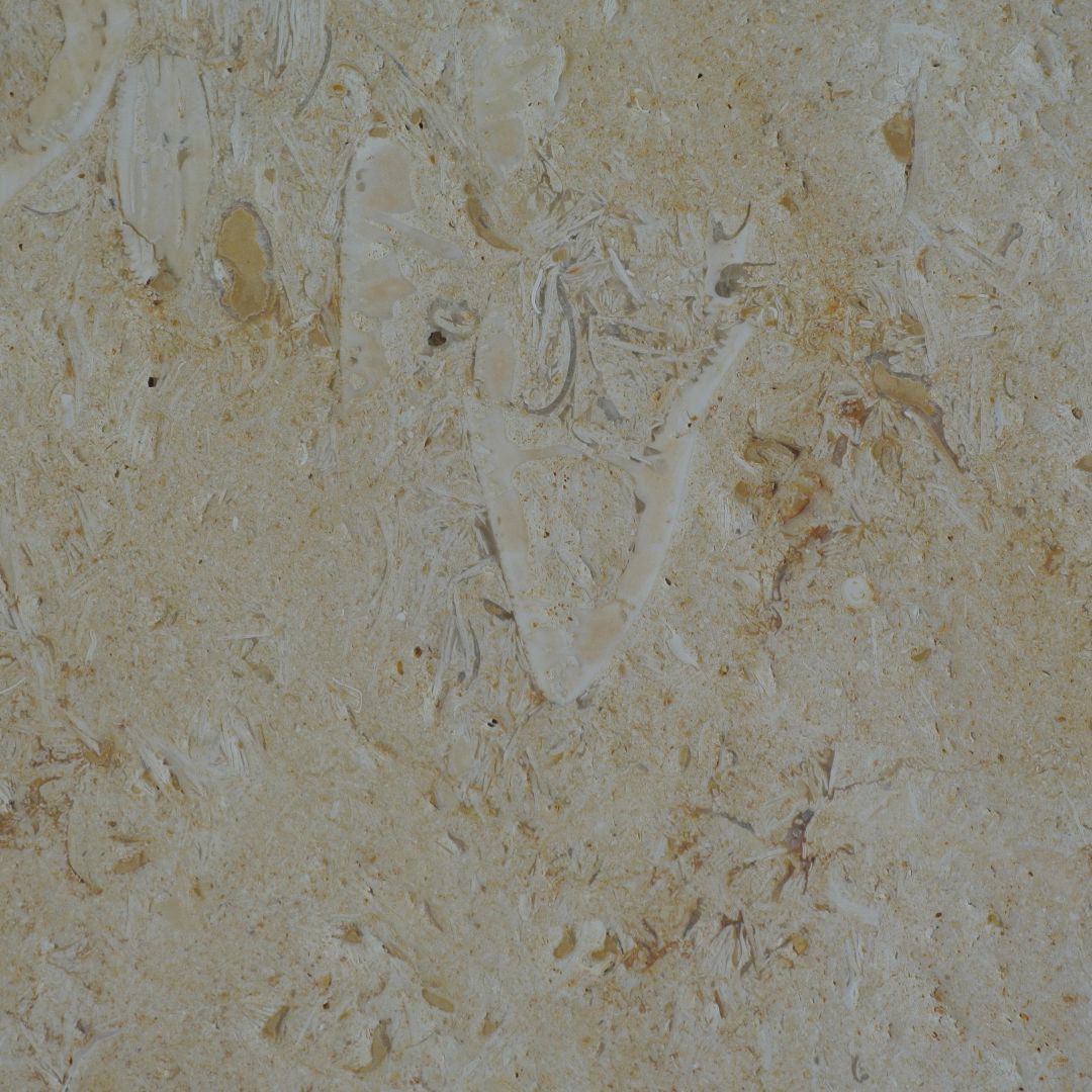 DESERT GOLD Limestone Brushed/Filled Tile
