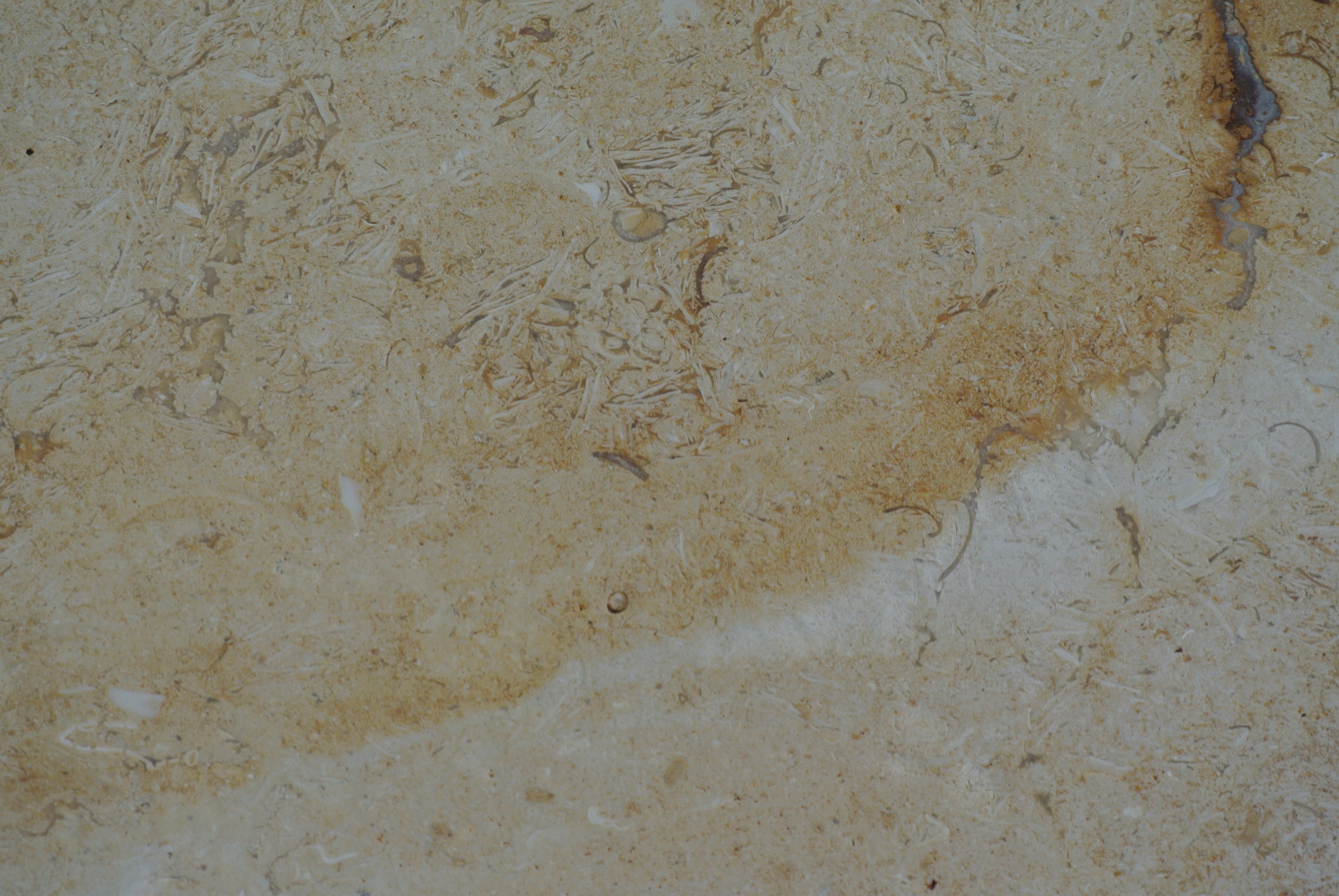 DESERT GOLD Limestone Brushed/Filled Tile