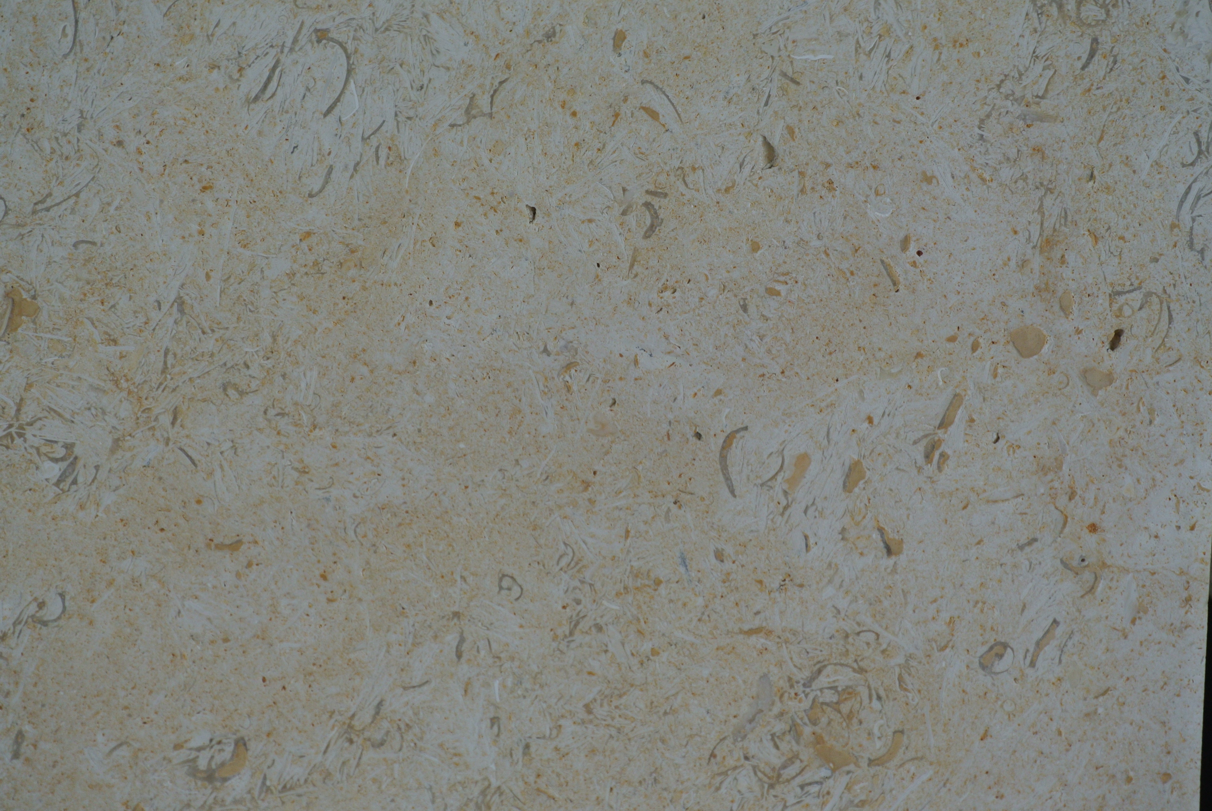 DESERT GOLD Limestone Brushed/Filled Tile
