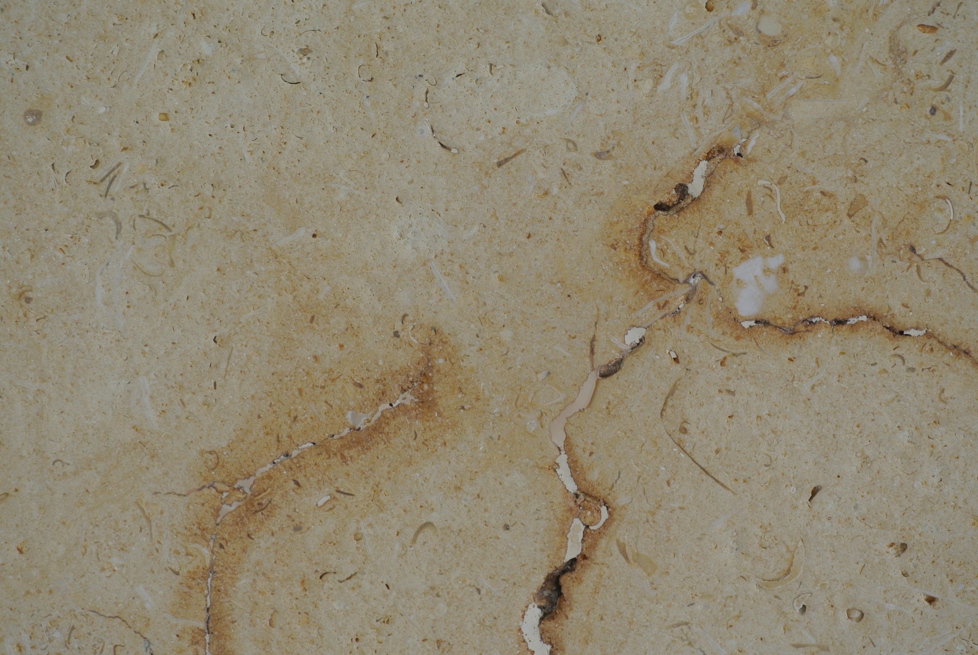 DESERT GOLD Limestone Brushed/Filled Tile